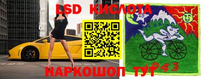 ALPHA PVP Малгобек