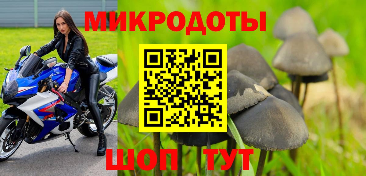 Галлюциногенные грибы Cubensis  Вход с VPN  Галлюциногенные грибы GOLDEN TEACHER  Троицк 