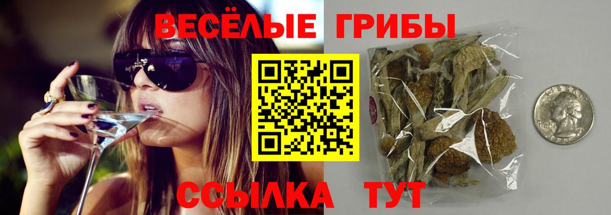 Псилоцибиновые грибы Magic Shrooms Троицк